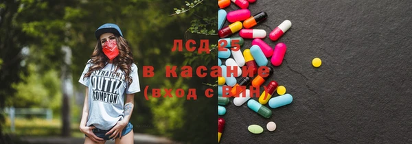 прущие грибы Горно-Алтайск