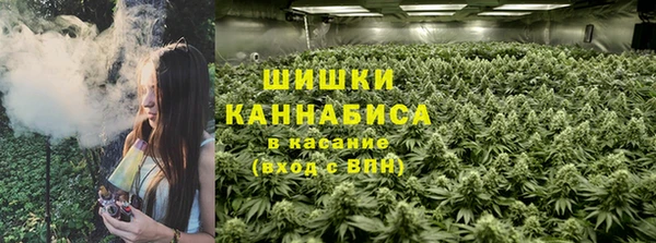 ешки Гусиноозёрск