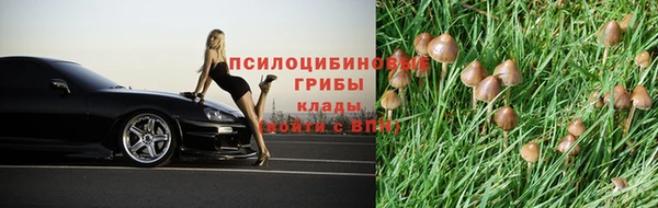 соль курить ск Гусев
